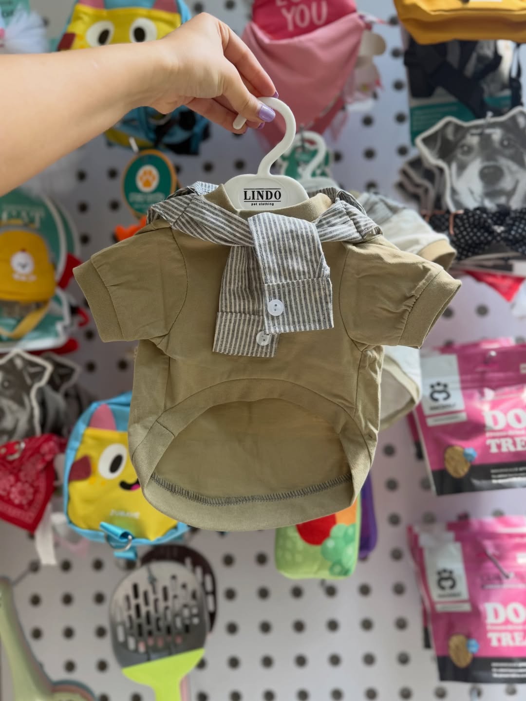 تیشرت سگ و گربه ZARA سایزبندی : ۳ تا ۹ کیلوگرم